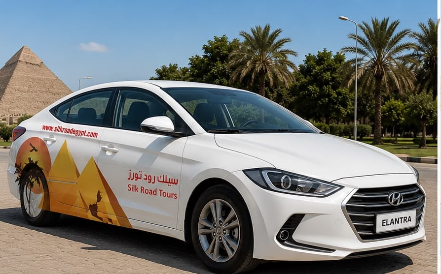 Elantra Single